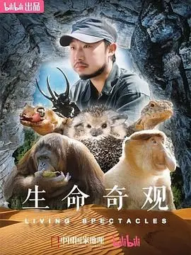 《生命奇观》：宇宙尽头的奇迹，科学与哲学的深度对话