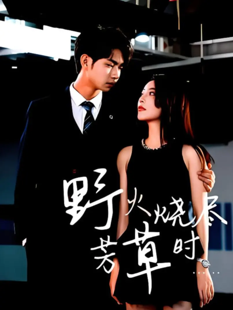 《野火烧尽芳草时》：硝烟中的人性光辉，一部不容错过的震撼战争纪录片