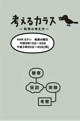《像乌鸦一样思考》：这部电影的“爱情”观，是否颠覆你的认知？