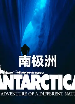 《南极洲》：这地方，不只冰天雪地，还有……